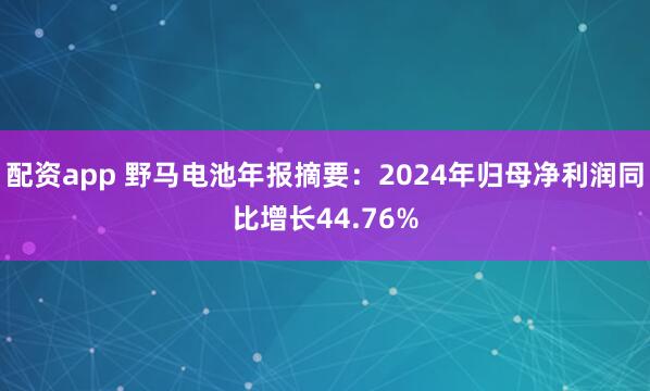配资app 野马电池年报摘要：2024年归母净利润同比增长44.76%