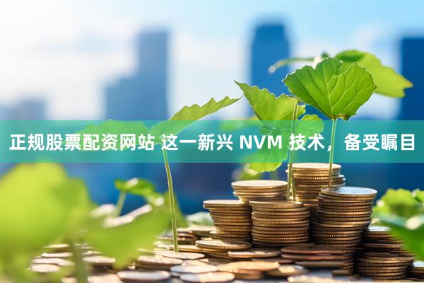 正规股票配资网站 这一新兴 NVM 技术，备受瞩目