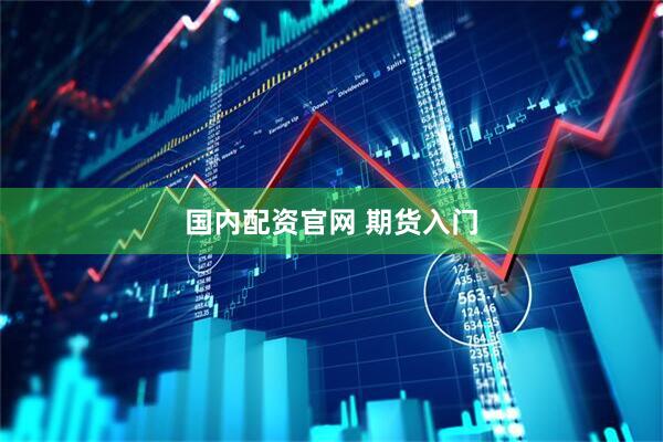 国内配资官网 期货入门