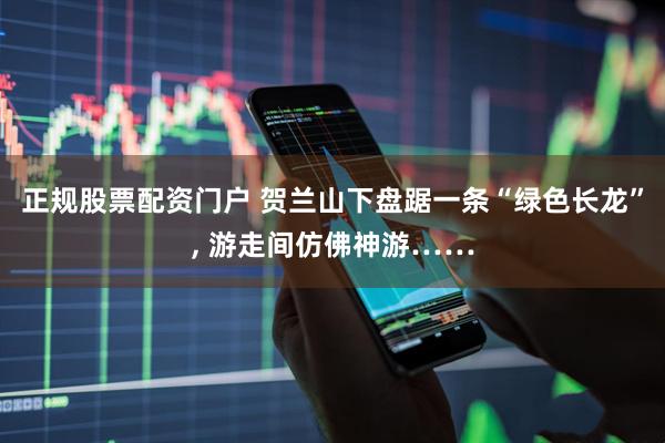 正规股票配资门户 贺兰山下盘踞一条“绿色长龙”, 游走间仿佛神游……