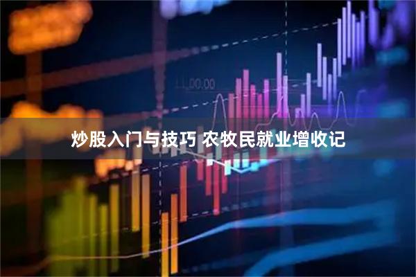 炒股入门与技巧 农牧民就业增收记